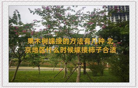 果木树嫁接的方法有几种 北京地区什么时候嫁接柿子合适